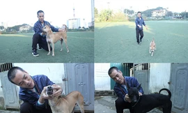 Mục sở thị trang trại nuôi chó Phú Quốc bạc tỷ ở Hà Nội