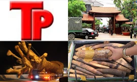 Bản tin Hình sự 18H: Cây khủng vượt chốt CSGT: Tướng Dánh bị bôi nhọ?