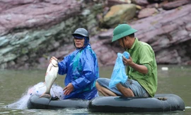 Săn cá 'khủng' khi hồ Kẻ Gỗ dừng xả lũ 