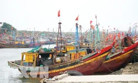 Hàng nghìn con tàu nằm bờ do giá xăng dầu tăng kỷ lục