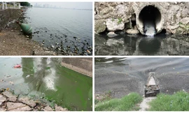 Ô nhiễm nặng, nhiều hồ Hà Nội 'kêu cứu'