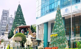  Nhìn gần những cây thông Noel 'khổng lồ' đón Giáng sinh tại Hà Nội