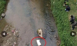 Ảnh chỉ mang tính minh họa