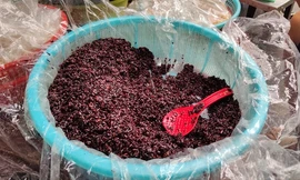 Bên trong 'thủ phủ' cơm rượu ngày Tết Đoan Ngọ ở Hà Nội