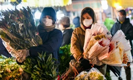 Chợ hoa lớn nhất ở Hà Nội họp xuyên đêm trong giá lạnh dưới 10 độ C