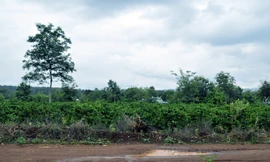 Khu vực xảy ra sự việc đau lòng trên