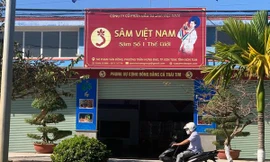 Trụ sở Công ty Sâm Việt Nam 