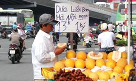 Khoảng 11.000 tấn dưa lưới vàng Trung Quốc được gắn mác "dưa Việt" được dân mua về ăn hàng ngày