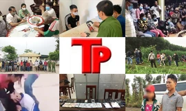 Bản tin Hình sự: GĐ Trung tâm Đấu giá tỉnh bị Đường Nhuệ đe dọa trong thời gian dài?