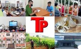 Bản tin Hình sự: Thiếu nữ bị 4 thanh niên chuốc say, hiếp dâm