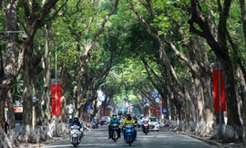Những con đường 'giải nhiệt' nắng nóng như đổ lửa ở Hà Nội
