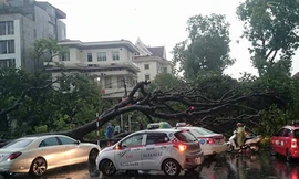 Gần 4,5 tỷ đồng bồi thường ôtô sau trận siêu giông