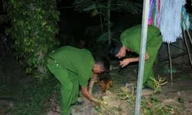 Ông lão U90 rút dao đâm gục người vợ kém 31 tuôi vì mâu thuẫn