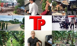 Bản tin Hình sự: Nữ phó giám đốc chi nhanh ngân hàng bị trúng đạn pháo tử vong trên đường