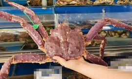 Cua hoàng đế tăng giá dựng ngược, trào lưu biến bánh tráng Việt thành bánh gạo Hàn Quốc