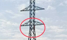 Hai thanh niên vắt vẻo trên trụ điện cao thế suốt nhiều giờ ở Bạc Liêu