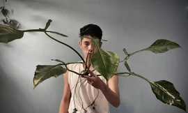 Lạ lùng chàng trai Hà Nội 'xây rừng' trong căn chung cư tầng 18