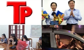 Bản tin Hình sự: Vì sao tổng giám đốc Sadeco bị bắt giam?