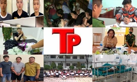 Bản tin Hình sự: Giết nữ chủ quán cà phê sau khi 'mây mưa' để cướp tài sản