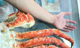 Chân cua hoàng đế dài hơn nửa mét giá vài triệu đồng một bộ