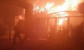 Con rể phóng hỏa đốt nhà mẹ vợ trong đêm