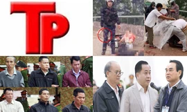 Bản tin Hình sự: Bảy 'chân dài' khỏa thân nhảy múa cùng nhiều khách nam