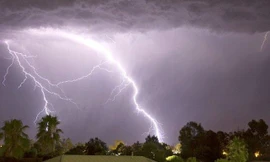 Đang cắt cỏ trong rừng thông, người đàn ông bị sét đánh tử vong