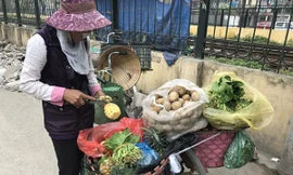 Khi đi bán rau, bà Lương chịu khó gom nhặt cơm thừa về nuôi gà vịt ở nhà