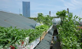 Gia đình chị Nguyễn Thị Thu sống ở tầng 6, tầng trên cùng của một khu chung cư ở quận Ba Đình (Hà Nội). Trước đây, vào những ngày hè, nhà chị thường rất nóng