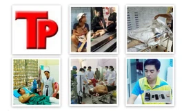 Bản tin Hình sự 18H: Nhiều người bị đâm thương vong trong chùa