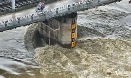 Cảnh nước cuồn cuộn chảy xiết tại các con sông gần Hà Nội