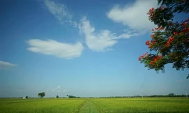 Huyện Mỹ Đức nằm phía Tây Nam thủ đô, cách trung tâm Hà Nội khoảng 40km. Nơi đây có nhiều cánh đồng rộng lớn và còn giữ lại được khá nhiều nét tự nhiên của thôn quê Bắc Bộ