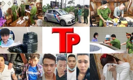 Bản tin Hình sự: Bị đánh chết vì cắn ngực nữ tiếp viên khi đang được massage kích dục