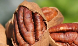 Quả hồ đào. Ảnh: Internet