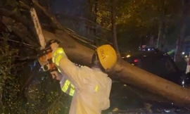 Tài xế hoảng loạn trong ô tô khi xe bị cây đè trúng giữa đêm mưa bão ở Hà Nội