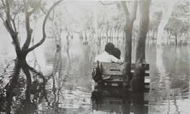 Người Hà Nội sẽ giật mình khi thấy những hình ảnh này