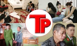 Bản tin Hình sự: Chân dài đi 'sex tour' 10 triệu đồng