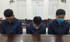 Các bị cáo tại tòa