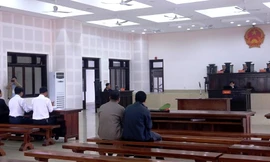 Khai mạc phiên toà vào sáng nay