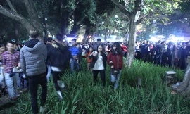 Vườn hoa hồ Gươm bị 'san phẳng' sau đêm giao thừa