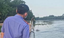 Phát hiện thi thể một người đàn ông không mặc quần áo nổi trên sông Vàm Cỏ Tây