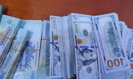 'Osin' trộm tiền tỷ trước khi về quê ăn Tết