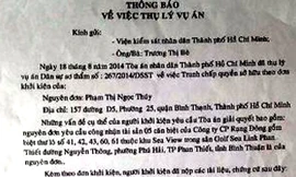 Siêu mẫu Ngọc Thúy khởi kiện mẹ ruột ra tòa đòi 5 biệt thự 