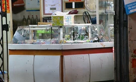 Hiện trường vụ việc