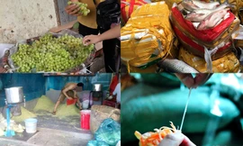 Cá quả, trắm giòn, nho xanh: Đồ ăn TQ bủa vây Hà Nội