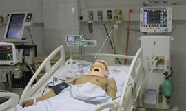 Ảnh chỉ mang tính minh họa