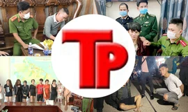 Bản tin Hình sự: Uống rượu pha thuốc hướng thần với gái xinh, đại gia bị lừa gần chục tỷ