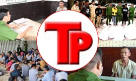 Bản tin Hình sự: Cảnh sát nổ loạt đạn, trấn áp ô tô chở 200kg ma tuý trị giá hàng chục tỷ