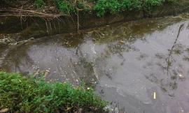 Ông Phan Ngọc Kiên, Trưởng thôn Lũng Vị cho biết, nguồn nước sạch tại đây đã bị cạn kiệt, nước dành cho tưới tiêu tồn đọng nhiều chất thải độc hại. Nhiều hộ dân phải bỏ tiền đi mua nước sạch về dùng