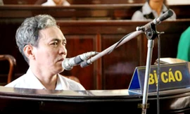 Bị cáo Đào Ngọc Phượng tại phiên tòa